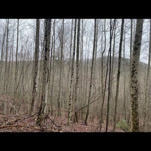 Meet your Posher, Whitney